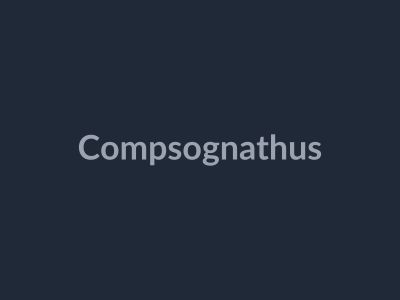 Compsognathus in Be Dino Roblox